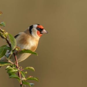 Untitled (209 Of 214).jpg